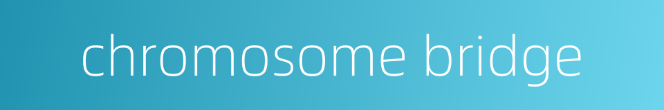 chromosome bridge的同义词