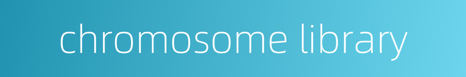 chromosome library的同义词