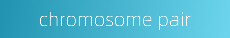 chromosome pair的同义词