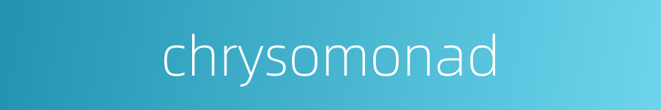 chrysomonad的同义词