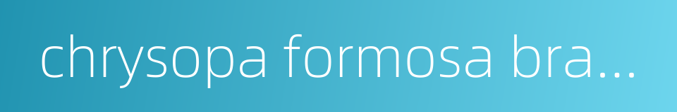 chrysopa formosa brauer的同义词