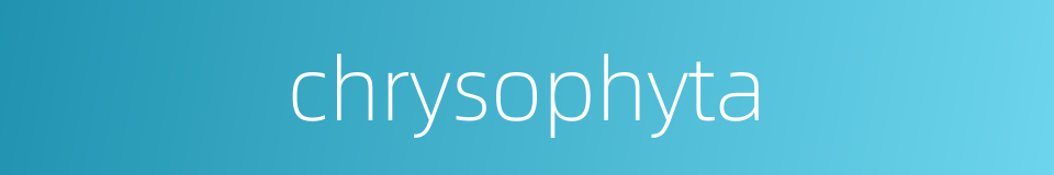 chrysophyta的同义词