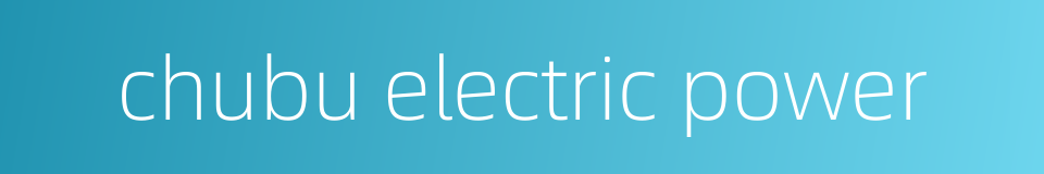 chubu electric power的同义词
