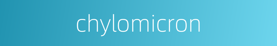 chylomicron的同义词