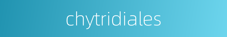 chytridiales的同义词