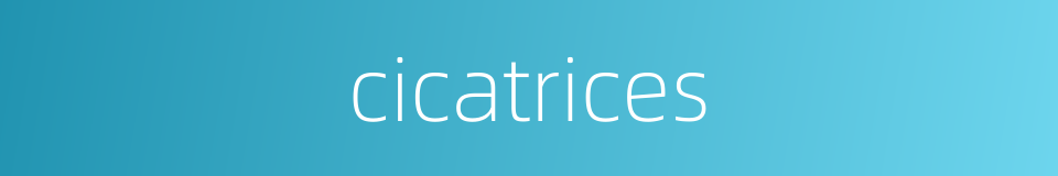 cicatrices的同义词