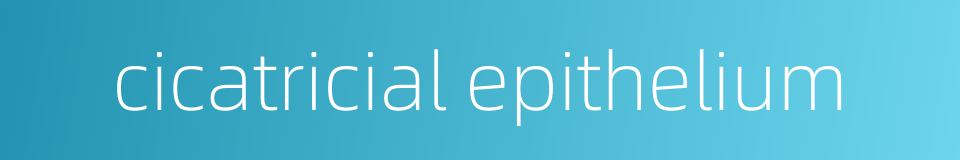 cicatricial epithelium的同义词