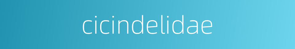 cicindelidae的同义词