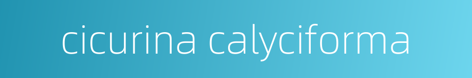 cicurina calyciforma的同义词