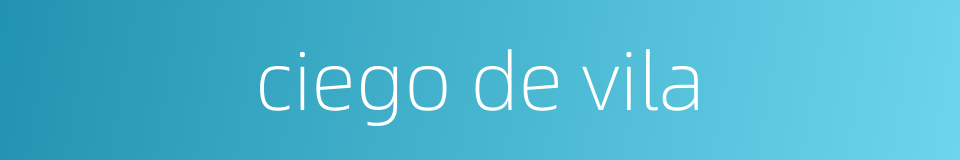 ciego de vila的同义词