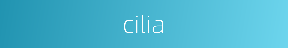 cilia的同义词