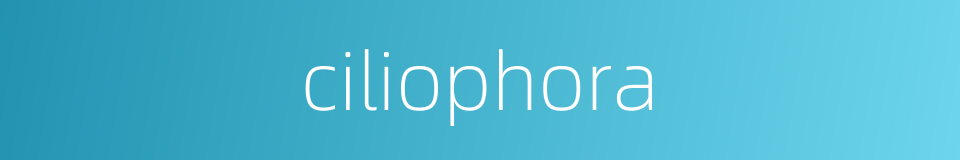 ciliophora的同义词