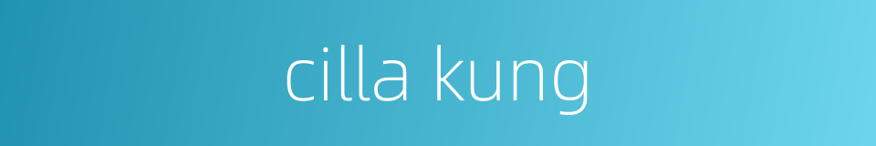cilla kung的同义词