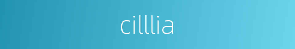 cilllia的同义词