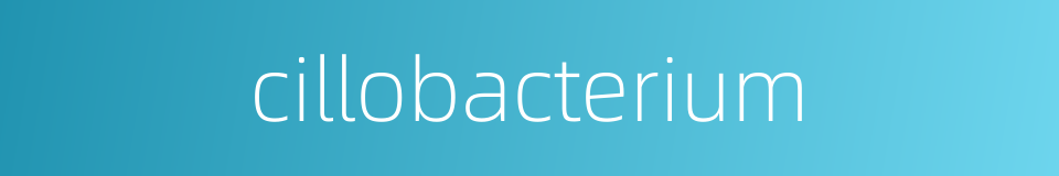cillobacterium的同义词
