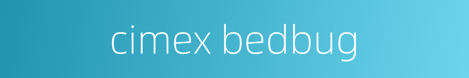 cimex bedbug的同义词