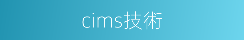 cims技術的同義詞