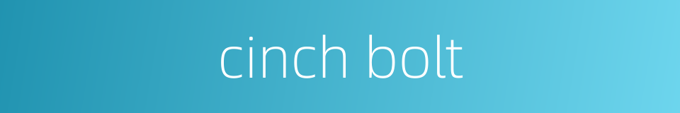 cinch bolt的同义词