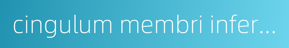 cingulum membri inferioris的同义词