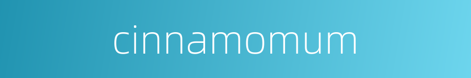 cinnamomum的同义词