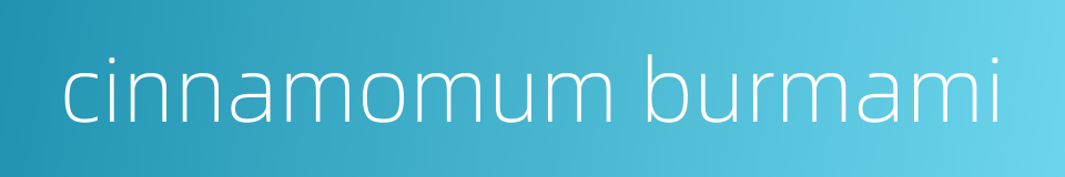 cinnamomum burmami的同义词