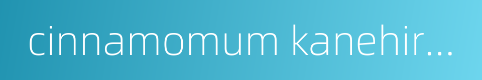 cinnamomum kanehirae的同义词