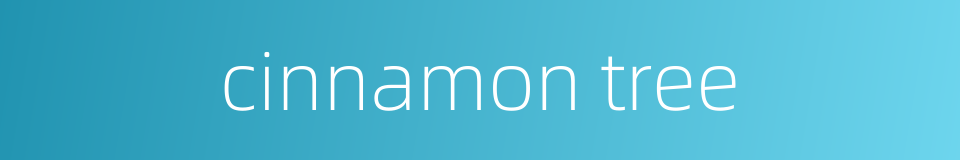 cinnamon tree的同义词