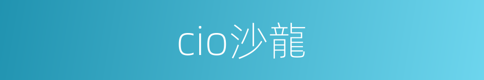 cio沙龍的同義詞