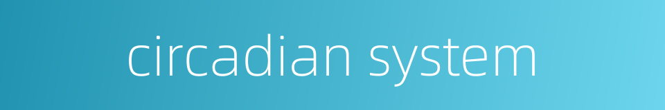 circadian system的同义词