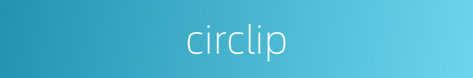 circlip的同义词