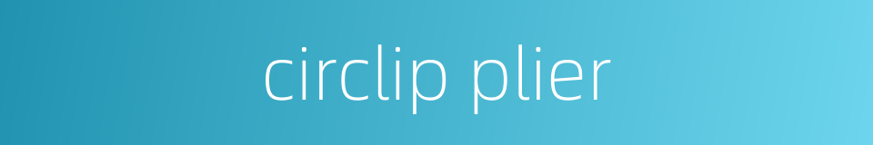 circlip plier的同义词
