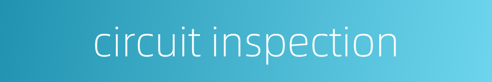 circuit inspection的同义词