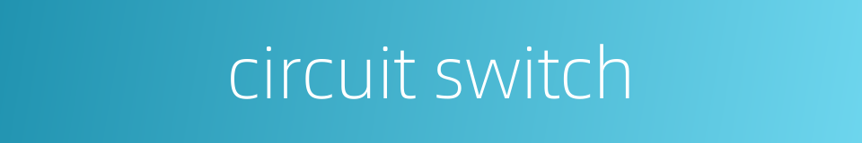 circuit switch的同义词