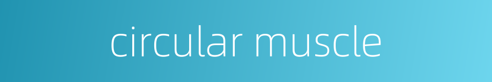circular muscle的同义词