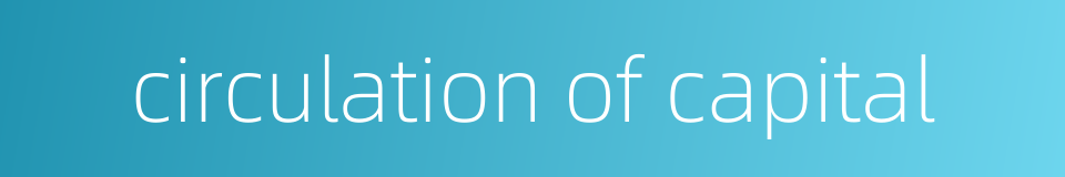 circulation of capital的同义词