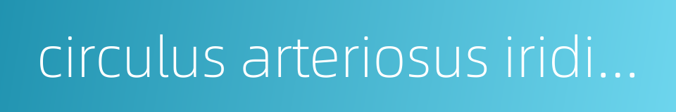 circulus arteriosus iridis major的同义词