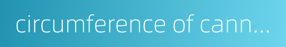 circumference of cannon bone的同义词