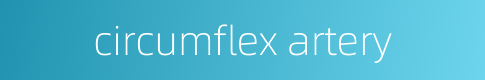 circumflex artery的同义词