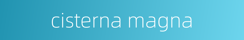 cisterna magna的同义词