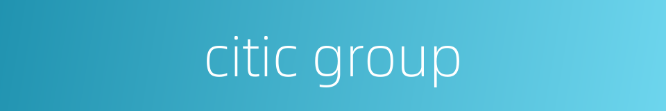 citic group的同义词