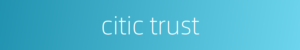citic trust的同义词