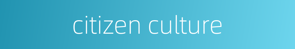 citizen culture的同义词
