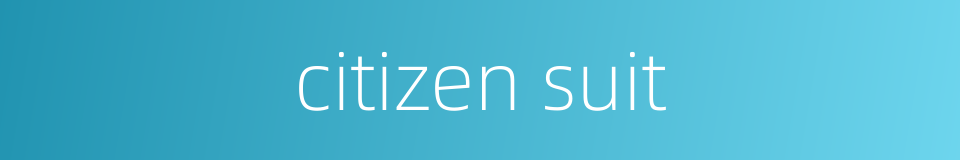 citizen suit的同义词