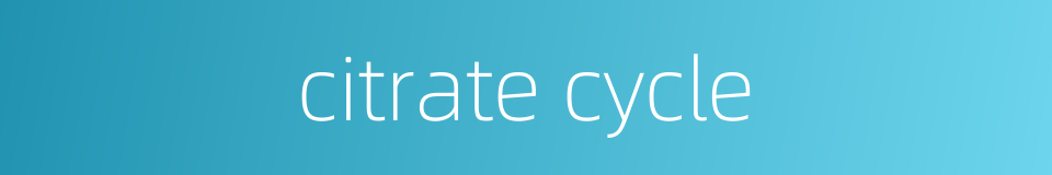 citrate cycle的同义词