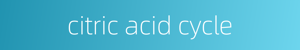 citric acid cycle的同义词