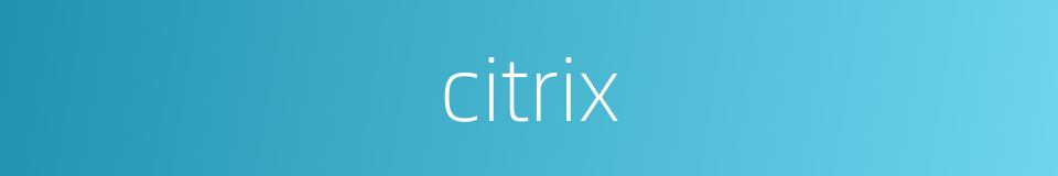 citrix的同义词