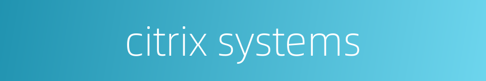 citrix systems的同义词