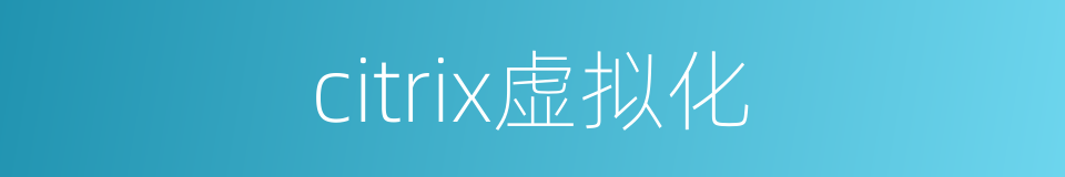 citrix虚拟化的同义词