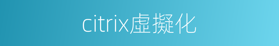 citrix虛擬化的同義詞