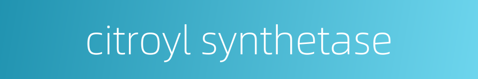 citroyl synthetase的同义词